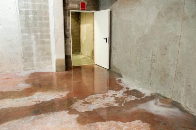 Recognizing and Avoiding Water Damage due to Plumbing Failure - Banner