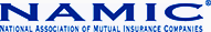 NAMIC Logo